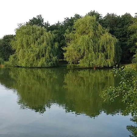 Zafir Sziget Sárvár